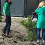 Sędziszów. Sadzenie 100 drzew na 100-lecie niepodległości / Ewa Pociejowska - Gawęda / Radio Kielce