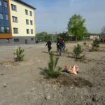 Sędziszów. Sadzenie 100 drzew na 100-lecie niepodległości / Ewa Pociejowska - Gawęda / Radio Kielce