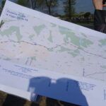 Budowa ścieżki pieszo-rowerowej wzdłuż drogi krajowej nr 78 / Ewa Pociejowska-Gawęda / Radio Kielce