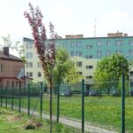 Jędrzejów. Sadzenie drzew. Akcja Zielony Jędrzejów / Ewa Pociejowska - Gawęda / Radio Kielce