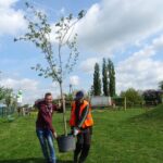 Jędrzejów. Sadzenie drzew. Akcja Zielony Jędrzejów / Ewa Pociejowska - Gawęda / Radio Kielce
