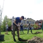 Jędrzejów. Sadzenie drzew. Akcja Zielony Jędrzejów / Ewa Pociejowska - Gawęda / Radio Kielce