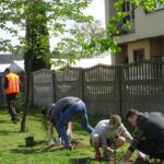 Jędrzejów. Sadzenie drzew. Akcja Zielony Jędrzejów / Ewa Pociejowska - Gawęda / Radio Kielce