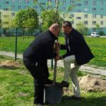 Jędrzejów. Sadzenie drzew. Akcja Zielony Jędrzejów / Ewa Pociejowska - Gawęda / Radio Kielce