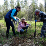 W ramach akcji „Lasy pełne energii” pracownicy PGE Obrót ze Skarżyska-Kamiennej sadzili dębowy las na terenie nadleśnictwa Suchedniów / Tomasz Piwko / Radio Kielce