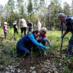 W ramach akcji „Lasy pełne energii” pracownicy PGE Obrót ze Skarżyska-Kamiennej sadzili dębowy las na terenie nadleśnictwa Suchedniów / Tomasz Piwko / Radio Kielce
