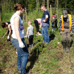 W ramach akcji „Lasy pełne energii” pracownicy PGE Obrót ze Skarżyska-Kamiennej sadzili dębowy las na terenie nadleśnictwa Suchedniów / Tomasz Piwko / Radio Kielce