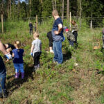 W ramach akcji „Lasy pełne energii” pracownicy PGE Obrót ze Skarżyska-Kamiennej sadzili dębowy las na terenie nadleśnictwa Suchedniów / Tomasz Piwko / Radio Kielce