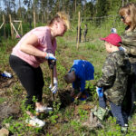 W ramach akcji „Lasy pełne energii” pracownicy PGE Obrót ze Skarżyska-Kamiennej sadzili dębowy las na terenie nadleśnictwa Suchedniów / Tomasz Piwko / Radio Kielce