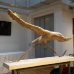 Kielce. Wystawa prac dyplomowych w Galerii "Winda" / Bartłomiej Zapała / Radio Kielce