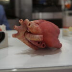 Dni Druku 3D w Targach Kielce / Marcin Różyc / Radio Kielce