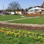 Sandomierz wiosennie / Grażyna Szlęzak-Wójcik / Radio Kielce