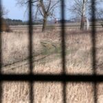 Umianowice - stacja Jędrzejowskiej Kolei Dojazdowej / Robert Felczak / Radio Kielce