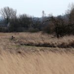 Umianowice - stacja Jędrzejowskiej Kolei Dojazdowej / Robert Felczak / Radio Kielce