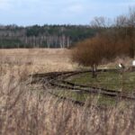 Umianowice - stacja Jędrzejowskiej Kolei Dojazdowej / Robert Felczak / Radio Kielce