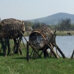 Obchody Dnia Ziemi w Centrum Edukacji i Kultury „Szklany Dom” w Ciekotach. Jedną z największych atrakcji były warsztaty wyplatania wiklinowych konstrukcji prowadzone przez artystę Jana Sajdaka / Karol Żak / Radio Kielce