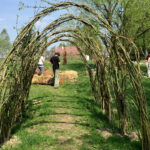 Obchody Dnia Ziemi w Centrum Edukacji i Kultury „Szklany Dom” w Ciekotach. Jedną z największych atrakcji były warsztaty wyplatania wiklinowych konstrukcji prowadzone przez artystę Jana Sajdaka / Karol Żak / Radio Kielce
