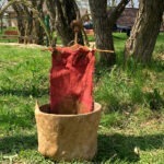 Obchody Dnia Ziemi w Centrum Edukacji i Kultury „Szklany Dom” w Ciekotach. Jedną z największych atrakcji były warsztaty wyplatania wiklinowych konstrukcji prowadzone przez artystę Jana Sajdaka / Karol Żak / Radio Kielce