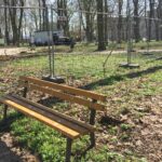 Modernizacja parku miejskiego w Sandomierzu / Grażyna Szlęzak-Wójcik / Radio Kielce