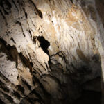 Jaskinia „Raj” / Robert Felczak / Radio Kielce