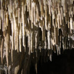 Jaskinia „Raj” / Robert Felczak / Radio Kielce