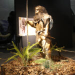 Jaskinia „Raj” / Robert Felczak / Radio Kielce