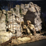 Jaskinia „Raj” / Robert Felczak / Radio Kielce