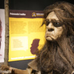 Jaskinia „Raj” / Robert Felczak / Radio Kielce