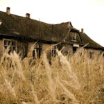 Dawna stacja kolejki wąskotorowej / Jarosław Kubalski / Radio Kielce