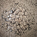 06.04.2018 Kielce.BWA. Wystawa "Życie i Śmierć" - Anna i Irena Nawrot / Jarosław Kubalski / Radio Kielce