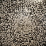 06.04.2018 Kielce.BWA. Wystawa "Życie i Śmierć" - Anna i Irena Nawrot / Jarosław Kubalski / Radio Kielce