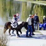 08..04.2018 Kielce. Wiosna. Spacer w parku / Jarosław Kubalski / Radio Kielce