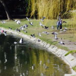 08..04.2018 Kielce. Wiosna. Spacer w parku / Jarosław Kubalski / Radio Kielce