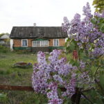 03.05.2017 Bilcza Zastawie. Dom w którym przechowywano Żyda w czasie wojny / Jarosław Kubalski / Radio Kielce