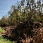 Droga w Cisowie / Marzena Mąkosa / Radio Kielce