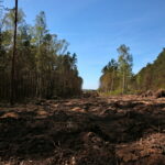 Droga w Cisowie / Marzena Mąkosa / Radio Kielce