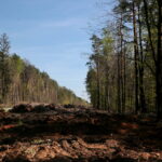 Droga w Cisowie / Marzena Mąkosa / Radio Kielce