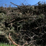 Droga w Cisowie / Marzena Mąkosa / Radio Kielce