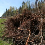 Droga w Cisowie / Marzena Mąkosa / Radio Kielce