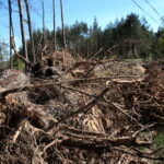 Droga w Cisowie / Marzena Mąkosa / Radio Kielce