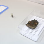 Noc Fizyków na UJK / Marzena Mąkosa / Radio Kielce