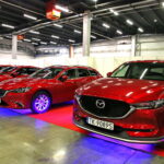 Targi Kielce. HEALTH & BEAUTY, AGROTRAVEL & ACTIVE LIFE, DOM, OGRÓD i TY, RĘKODZIEŁO, ECO-STYLE / Marzena Mąkosa / Radio Kielce