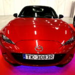 Targi Kielce. HEALTH & BEAUTY, AGROTRAVEL & ACTIVE LIFE, DOM, OGRÓD i TY, RĘKODZIEŁO, ECO-STYLE / Marzena Mąkosa / Radio Kielce