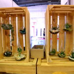 Targi Kielce. HEALTH & BEAUTY, AGROTRAVEL & ACTIVE LIFE, DOM, OGRÓD i TY, RĘKODZIEŁO, ECO-STYLE / Marzena Mąkosa / Radio Kielce