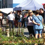 Targi Kielce. HEALTH & BEAUTY, AGROTRAVEL & ACTIVE LIFE, DOM, OGRÓD i TY, RĘKODZIEŁO, ECO-STYLE / Marzena Mąkosa / Radio Kielce