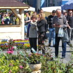 Targi Kielce. HEALTH & BEAUTY, AGROTRAVEL & ACTIVE LIFE, DOM, OGRÓD i TY, RĘKODZIEŁO, ECO-STYLE / Marzena Mąkosa / Radio Kielce