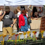 Targi Kielce. HEALTH & BEAUTY, AGROTRAVEL & ACTIVE LIFE, DOM, OGRÓD i TY, RĘKODZIEŁO, ECO-STYLE / Marzena Mąkosa / Radio Kielce