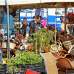 Targi Kielce. HEALTH & BEAUTY, AGROTRAVEL & ACTIVE LIFE, DOM, OGRÓD i TY, RĘKODZIEŁO, ECO-STYLE / Marzena Mąkosa / Radio Kielce