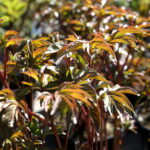 Targi Kielce. HEALTH & BEAUTY, AGROTRAVEL & ACTIVE LIFE, DOM, OGRÓD i TY, RĘKODZIEŁO, ECO-STYLE / Marzena Mąkosa / Radio Kielce