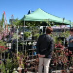 Targi Kielce. HEALTH & BEAUTY, AGROTRAVEL & ACTIVE LIFE, DOM, OGRÓD i TY, RĘKODZIEŁO, ECO-STYLE / Marzena Mąkosa / Radio Kielce